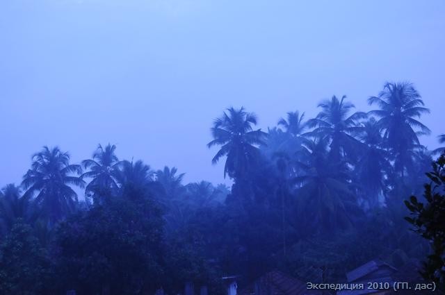 А это утро, благость и умиротворение среди кокосовых пальм