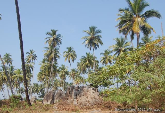 кокосовый остров