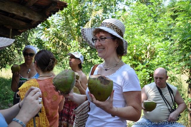 Дабба - питьевые кокосы